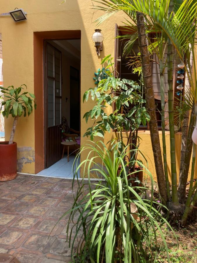 Calida Habitacion A 10 Min De Santo Domingo Oaxaca Eksteriør billede
